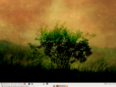 ubuntu 6.05 LTS<br />Sobre, beau, efficace, stable, configuration minimale et presque automatique .... le bonhuer en 20 minutes montre en main !!!