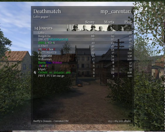 COD1 Carentan survivor
